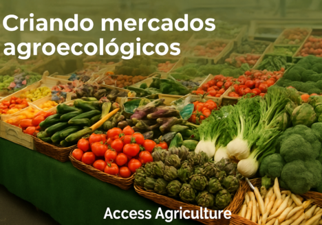 Criando mercados agroecológicos - Access Agriculture
