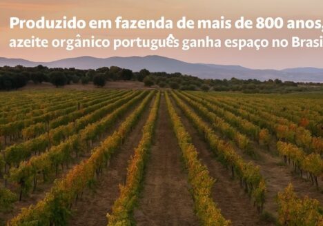 Produzido em fazenda de mais de 800 anos, azeite orgânico português ganha espaço no Brasil