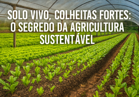 Solo Vivo, Colheitas Fortes: O Segredo da Agricultura Sustentável