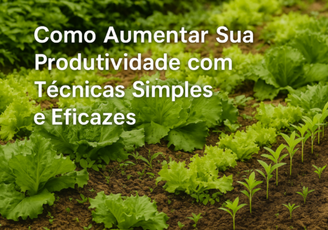 SPG: O Modelo Comunitário Que Está Mudando a Forma de Produzir Alimentos