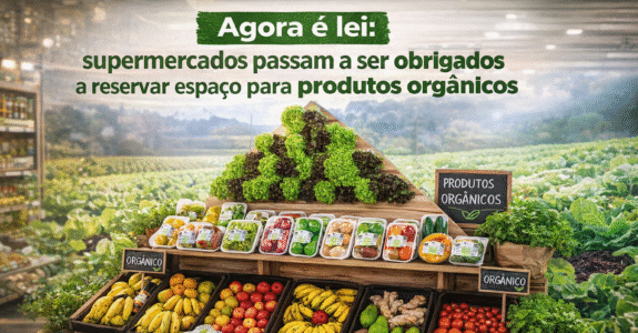 Agora é lei: supermercados passam a ser obrigados a reservar espaço para produtos orgânicos