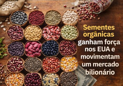 Sementes orgânicas ganham força nos EUA e movimentam um mercado bilionário