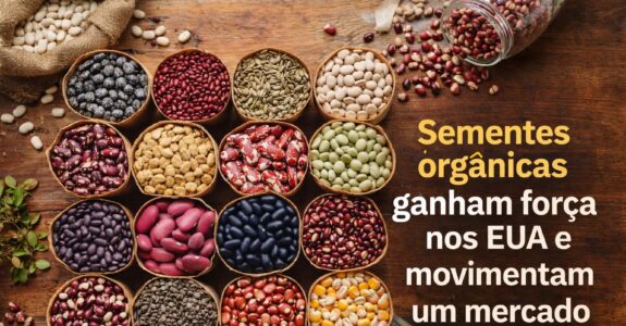 Sementes orgânicas ganham força nos EUA e movimentam um mercado bilionário