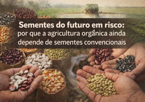 Um dilema clássico de "quem veio primeiro: o ovo ou a galinha" que impede o crescimento de sementes orgânicas