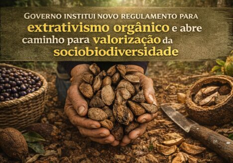 Governo institui novo regulamento para extrativismo orgânico e abre caminho para valorização da sociobiodiversidade
