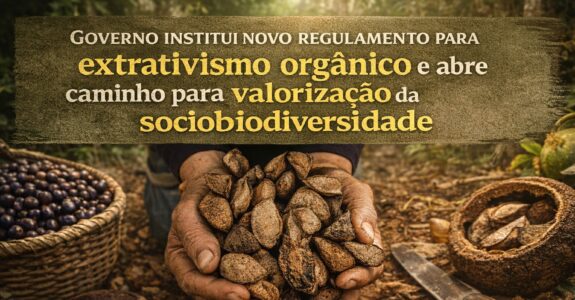 Governo institui novo regulamento para extrativismo orgânico e abre caminho para valorização da sociobiodiversidade