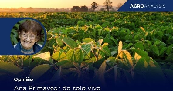 Ana Primavesi: do solo vivo ao equilíbrio produtivo