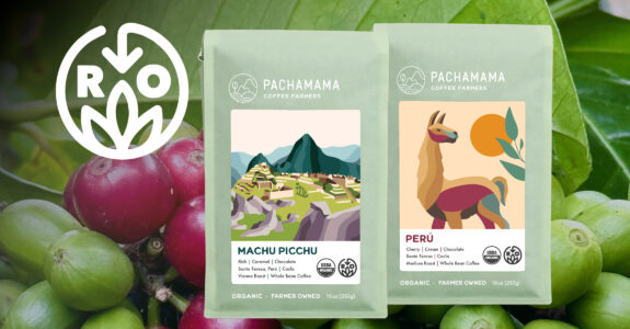 Café regenerativo ganha força: Pachamama conquista certificação internacional e valoriza agricultores