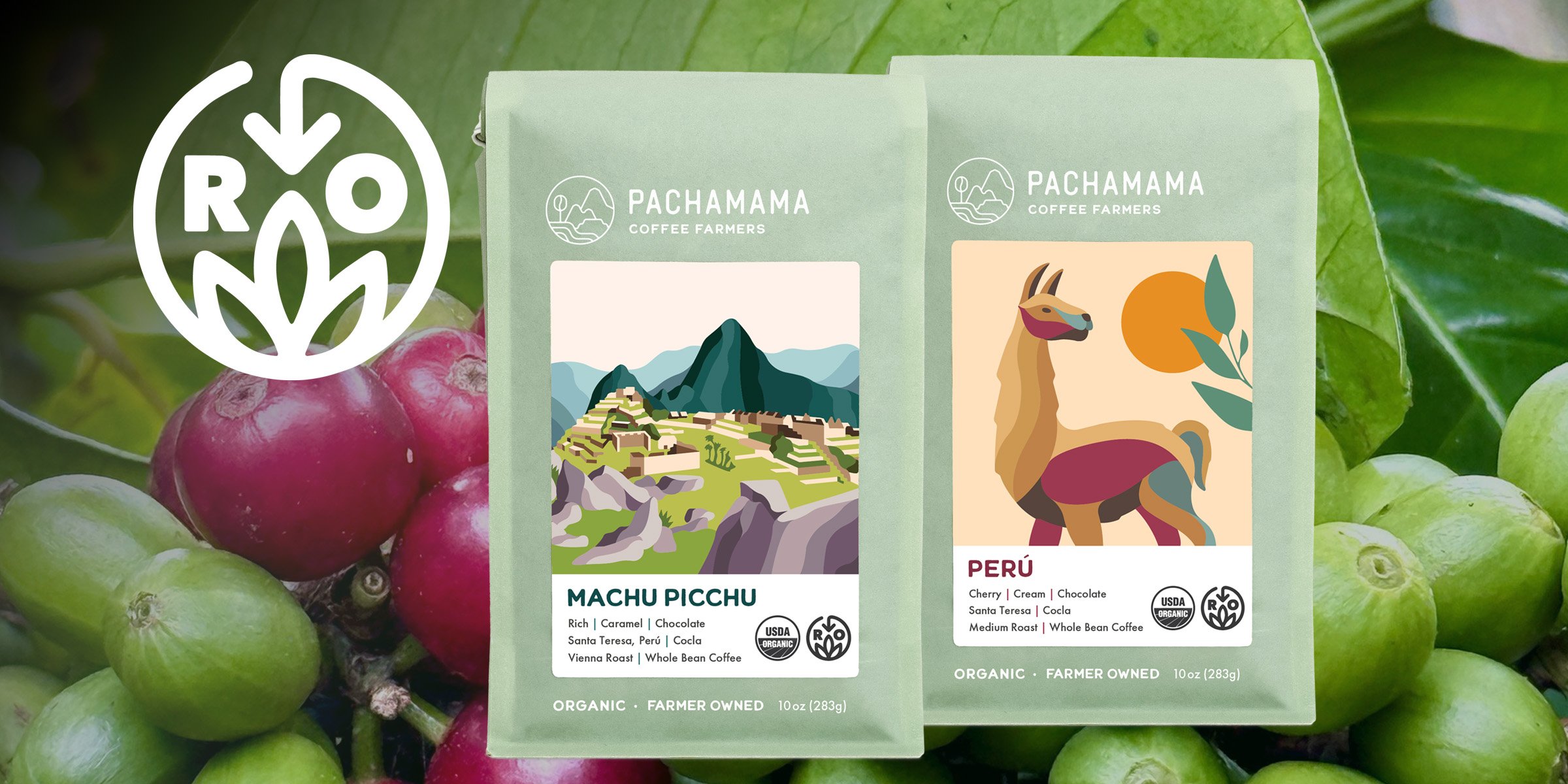Café regenerativo ganha força: Pachamama conquista certificação internacional e valoriza agricultores