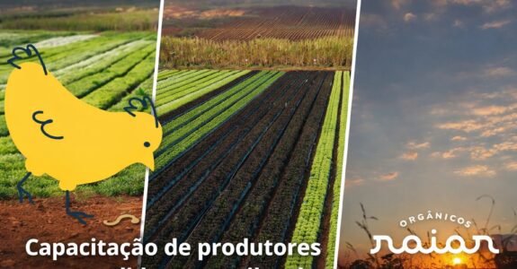 Capacitação de produtores se consolida como pilar da produção orgânica no Brasil