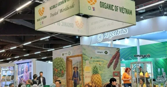 Com um mercado amplamente aberto, os produtos agrícolas orgânicos estão buscando encontrar seu espaço