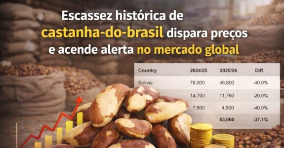 Escassez histórica de castanha-do-Brasil dispara preços e acende alerta no mercado global
