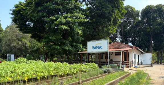 Guia prático revela como transformar espaços urbanos em hortas produtivas e sustentáveis com técnicas agroecológicas