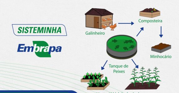 O solo da sua fazenda é um patrimônio ou um custo crescente?