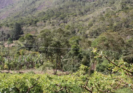 Regenerar Para Prosperar: O Movimento que Está Mudando o Agro