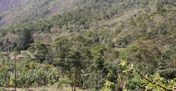 Regenerar Para Prosperar: O Movimento que Está Mudando o Agro