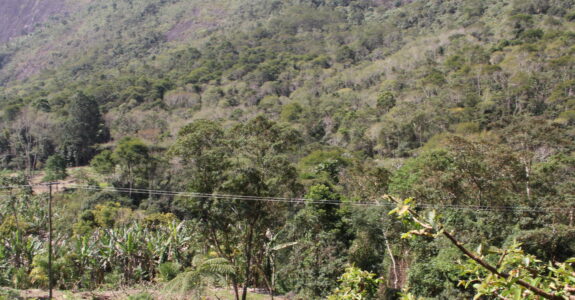 Regenerar Para Prosperar: O Movimento que Está Mudando o Agro