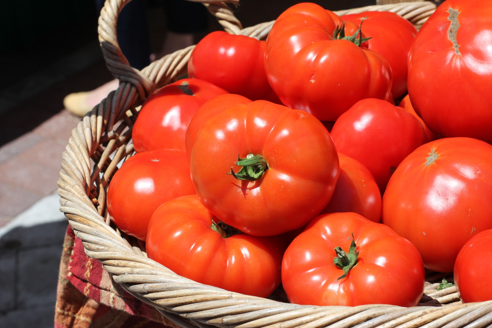 Casal colhe tomate gigante de quase um quilo em horta orgânica