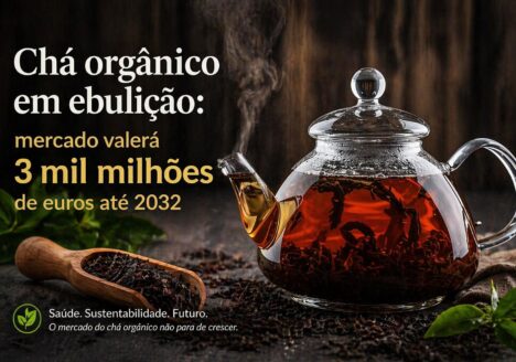 Chá orgânico em ebulição: mercado valerá 3 mil milhões de euros até 2032