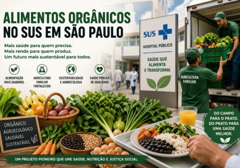 Hospitais do SUS em São Paulo recebem alimentos orgânicos