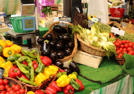 “Paraná: Líder Nacional na Produção de Orgânicos A Certificação Tecpar que Revoluciona a Agricultura Sustentável”