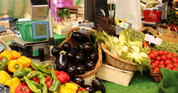 “Paraná: Líder Nacional na Produção de Orgânicos A Certificação Tecpar que Revoluciona a Agricultura Sustentável”