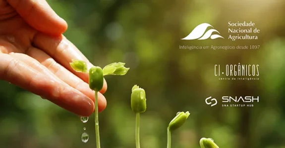 Agro regenerativo e inteligência biológica são temas de webinar realizado pelo CI Orgânicos e SNASH