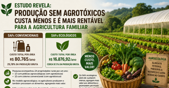 Agroecologia é mais rentável para agricultura familiar, indica pesquisa da UTFPR