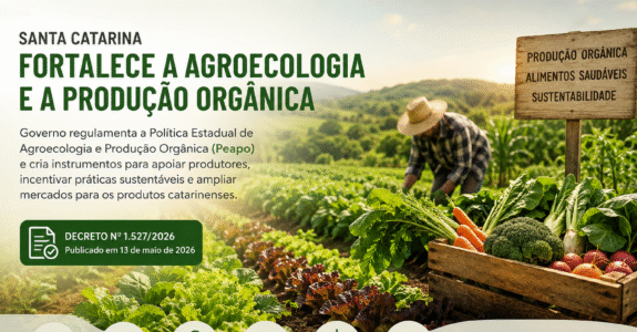 Governo do Estado amplia valorização dos alimentos orgânicos com nova regulamentação
