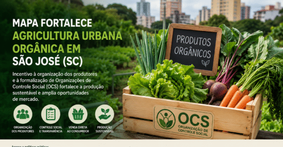 Mapa fortalece agricultura urbana orgânica e amplia acesso de produtores a políticas públicas em São José (SC)