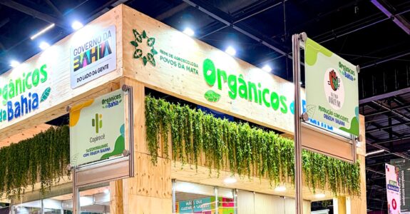 Orgânicos da Bahia ganham projeção nacional e internacional na Biofach América Latina