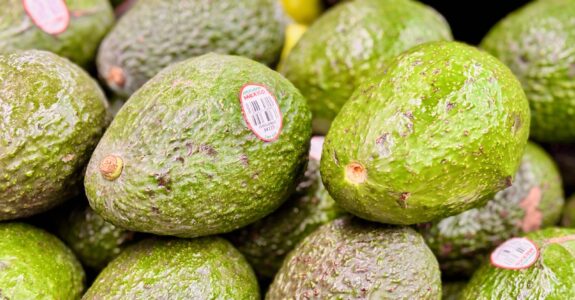 Análise do Mercado de Abacate Orgânico na Europa: Relatório do 2º Trimestre de 2026