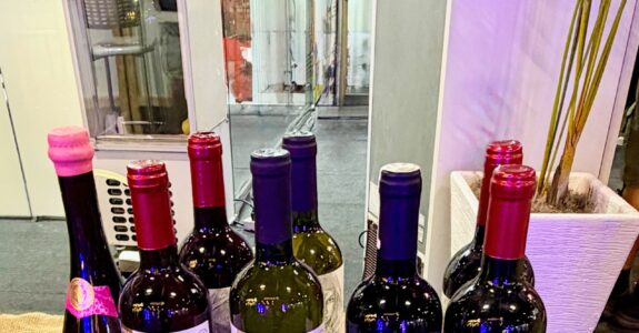 Vinho orgânico cresce e mercado brasileiro pode atingir US$ 289 mi