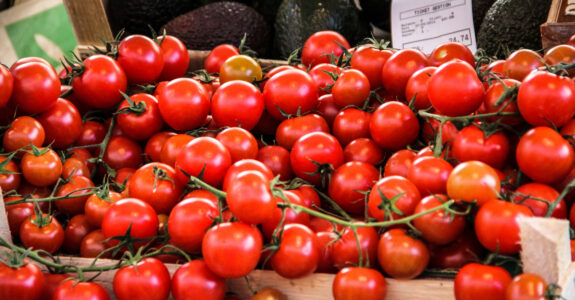 Uma coleção de tomates cheia de sabor e de história