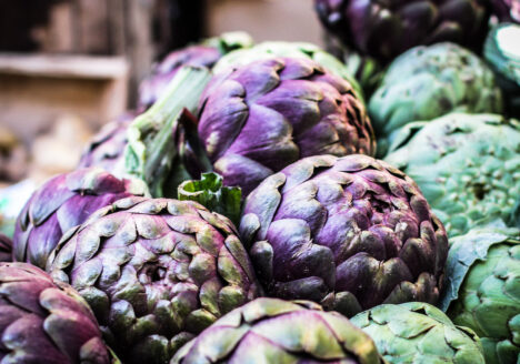 Encontro Internacional de Compradores e Vendedores da IFOAM – Organics Asia