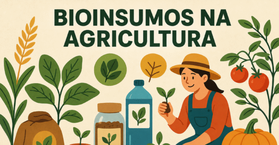 MAPA anuncia prioridade para regulamentação dos bioinsumos