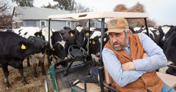 EUA: Menos leite orgânico na prateleira