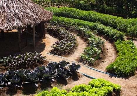PAIS: produção agroecológica integrada PAIS: produção agroecológica integrada