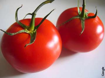 Estudo sobre o ketchup feito de tomate orgânico e convencional