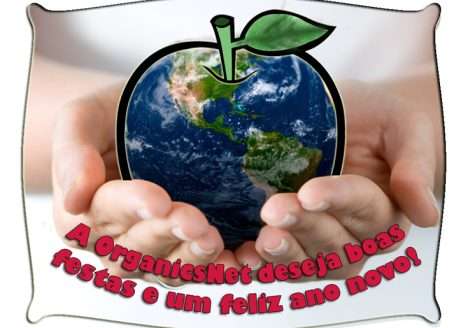 Boas Festas e Feliz Ano Novo!