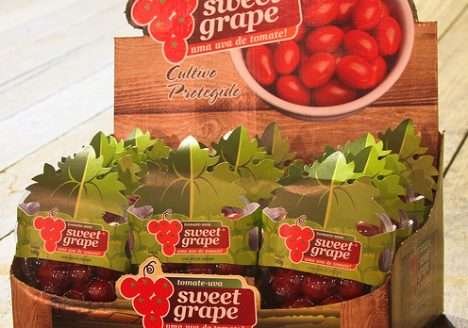 Modelo de gestão na cadeia de produção tomates