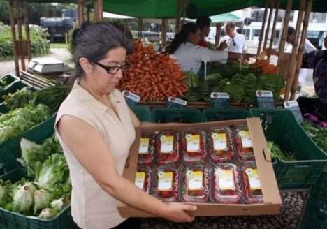 Há tres anos se arrastra a regulamentação de orgânicos